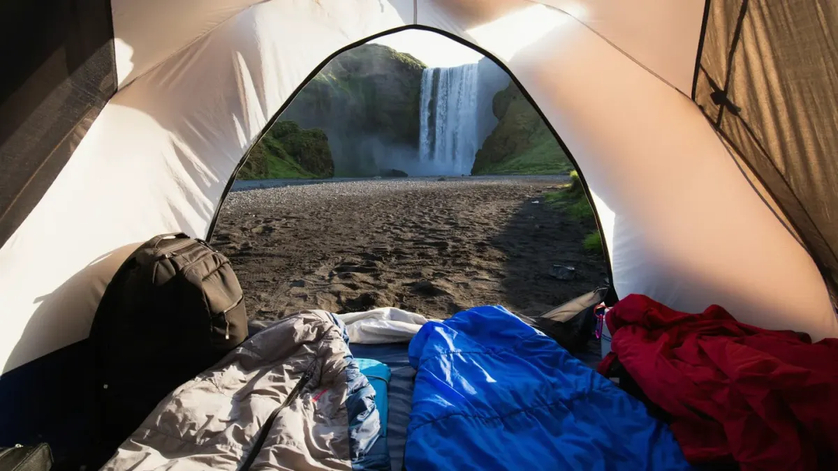 A dog curled up on a padded bed inside a tent at night