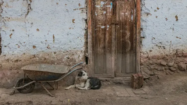 A dog lying calmly on a mat near a front door as an owner steps out