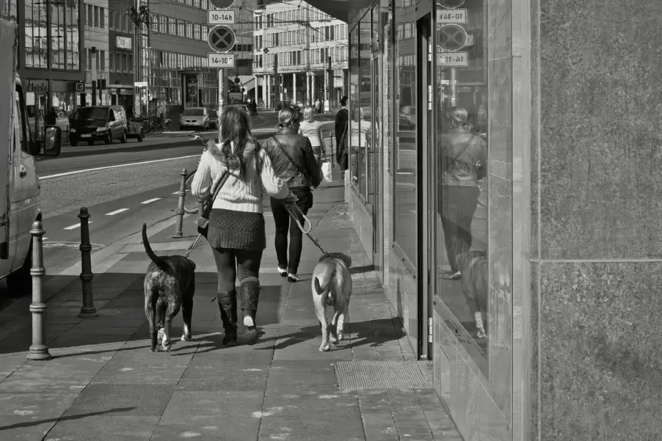 A dog owner keeping distance from another dog while walking on leash