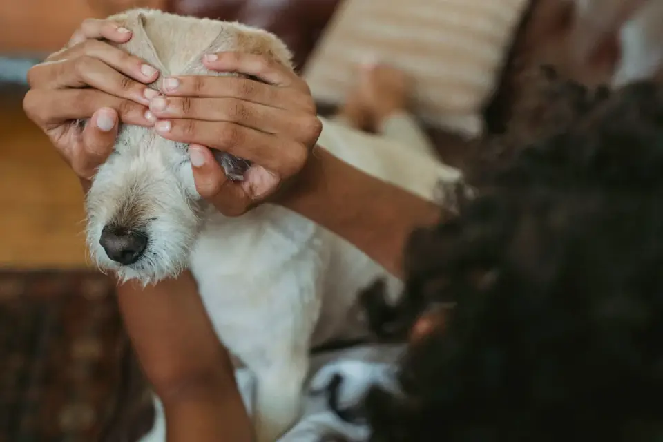 A dog owner sitting on the floor comforting an anxious dog in a veterinary clinic waiting room