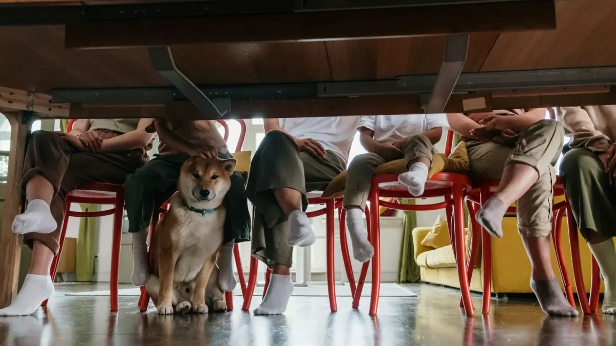 A dog pressed low against the floor near a bed during a storm