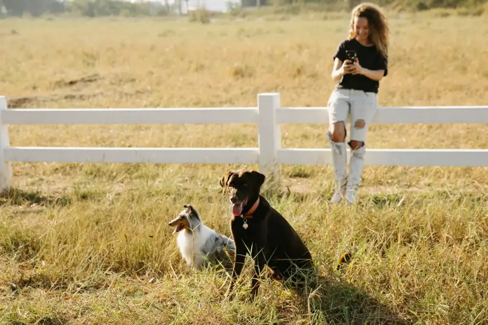 A dog sitting calmly next to its owner while being offered a treat