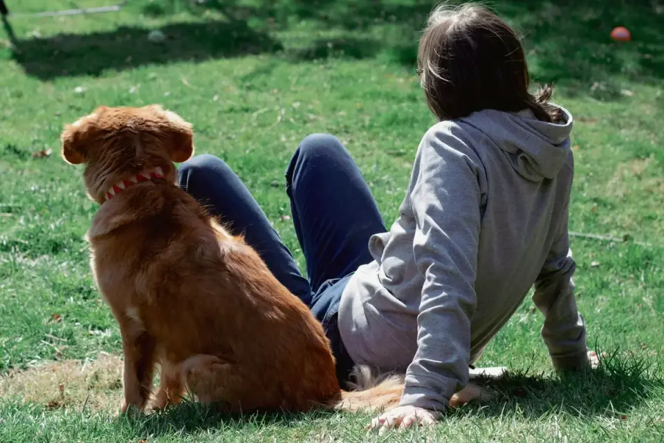 A dog stiffens over a chew toy while an owner sits back and gives space