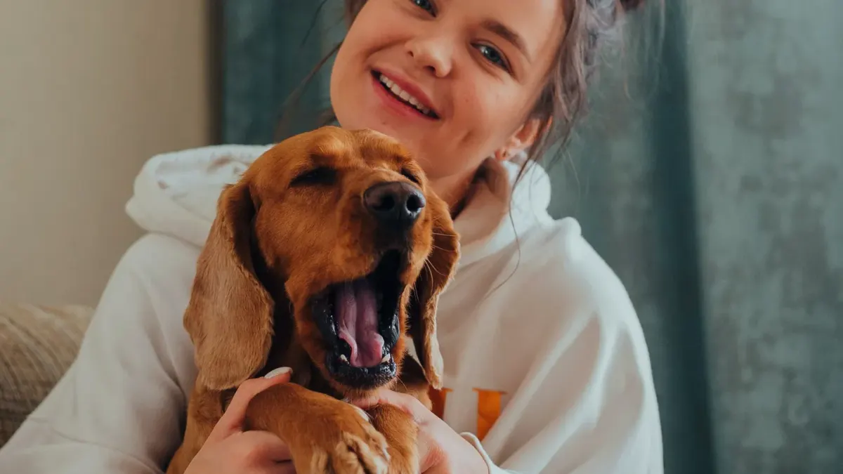 A dog yawning with its head turned slightly away while an unfamiliar person crouches nearby
