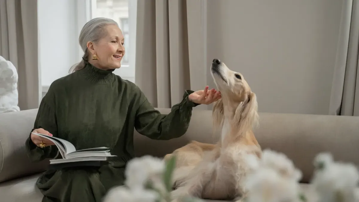 A graying senior dog resting calmly on a rug near its owner