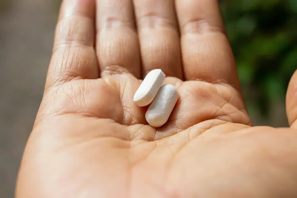 A hand holding two air-dried soft chews above a kitchen counter
