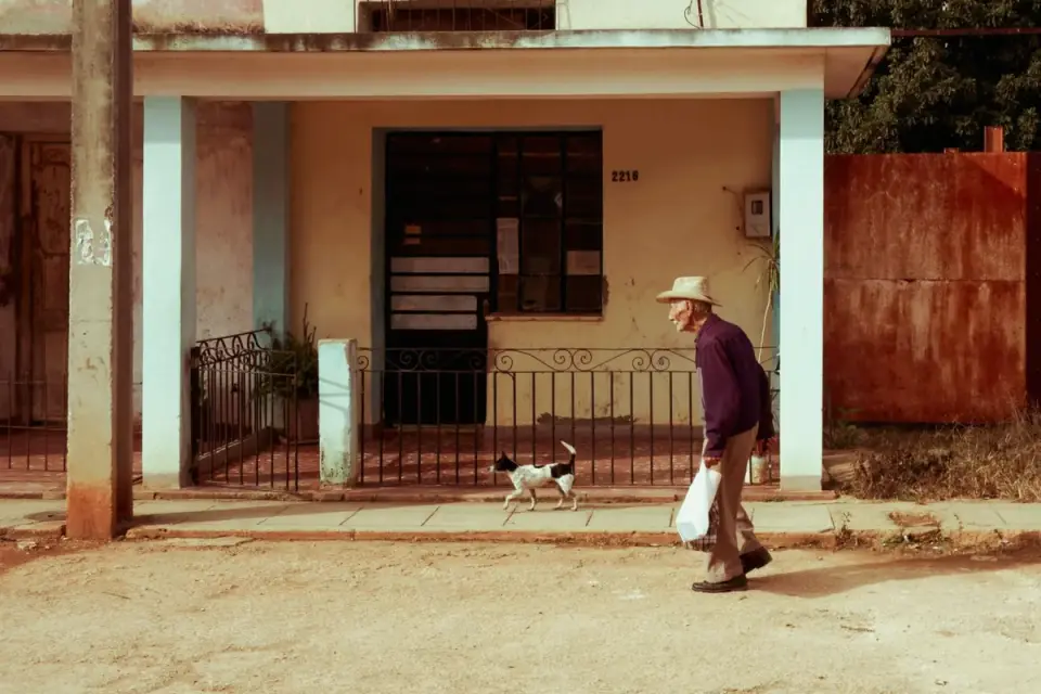 A leashed dog walking beside its owner on a city sidewalk