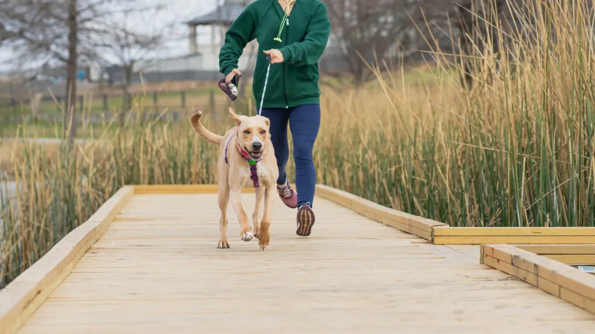 A mixed-breed dog running at a trot alongside its owner on a gravel trail