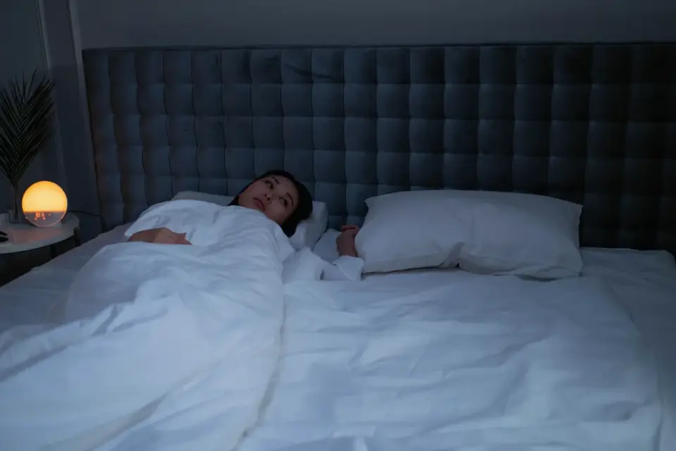 A senior dog sleeping calmly in a dim bedroom at night