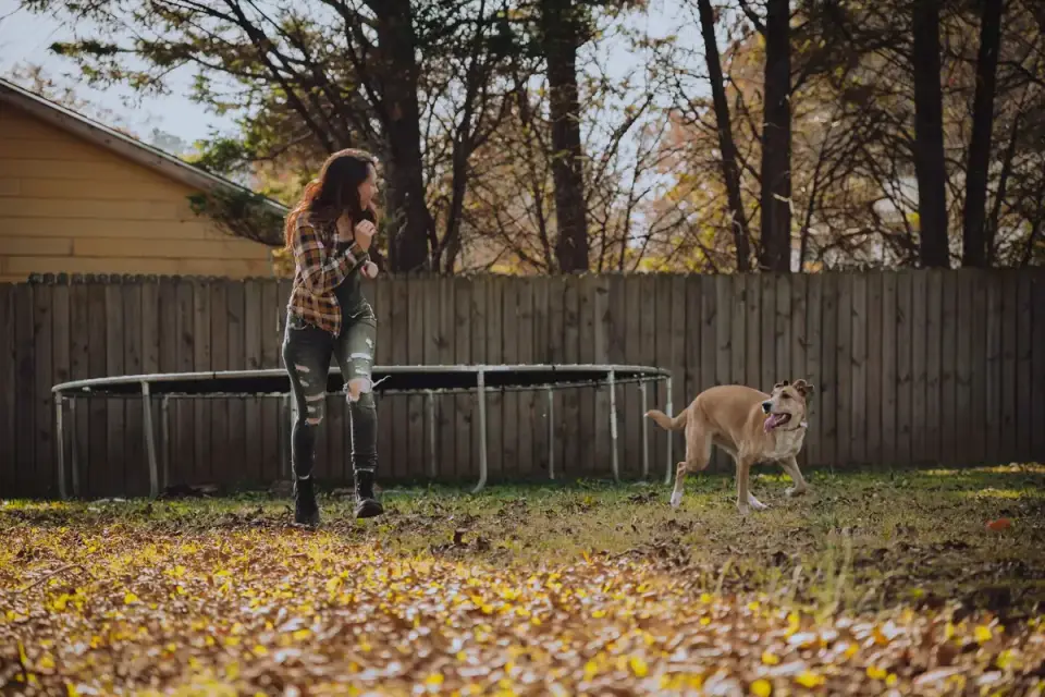 A trainer rewarding a dog for responding to a recall cue near a backyard fence