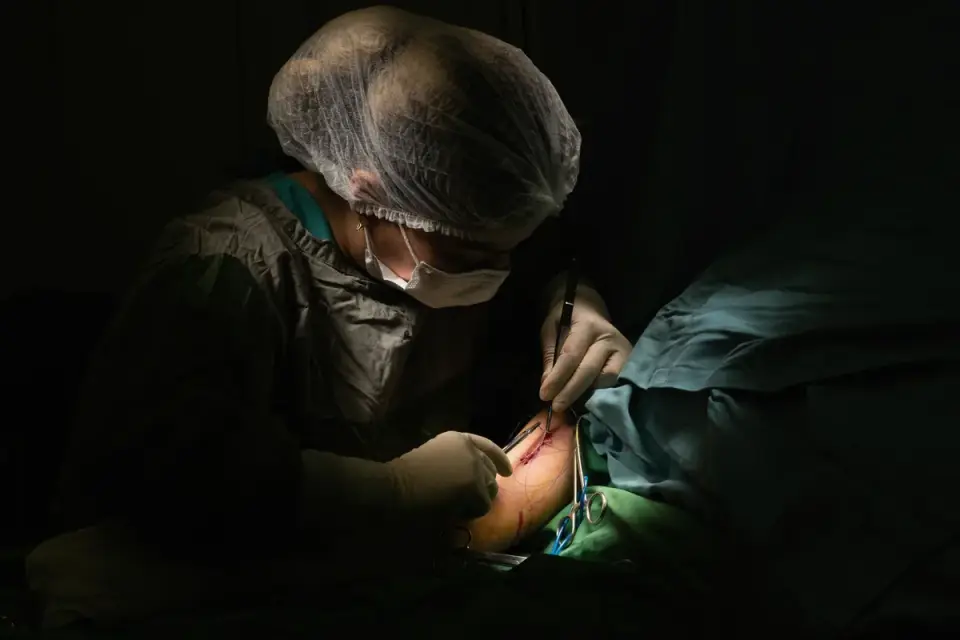 A veterinarian examining a dog&#x27;s abdomen during a post-surgical recheck