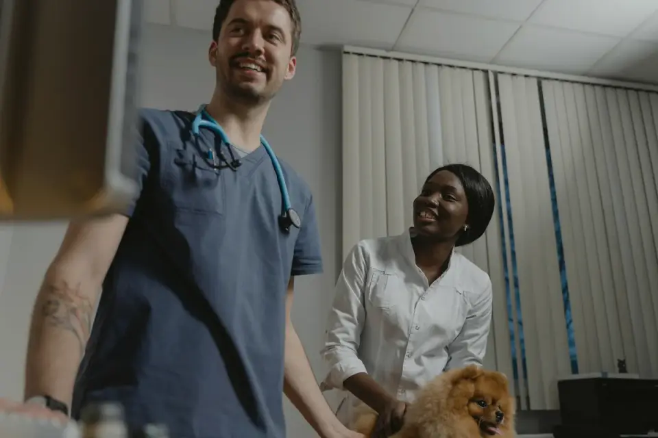 A veterinarian gently examining an older dog while the owner looks on