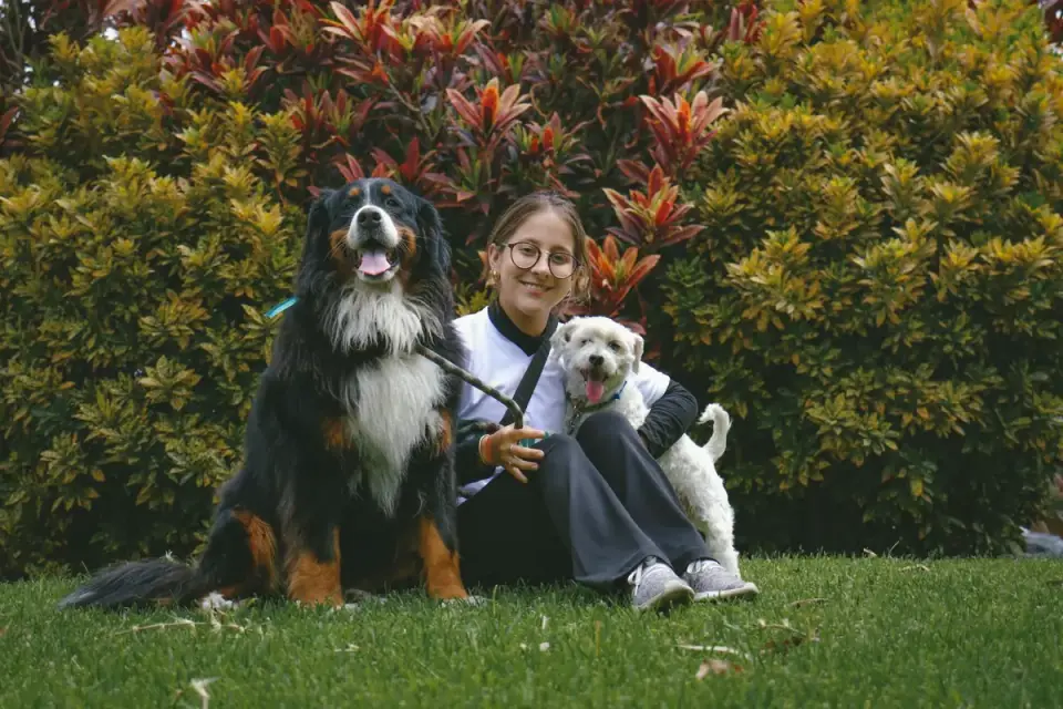 A veterinarian pointing at an ingredient label while a dog owner listens