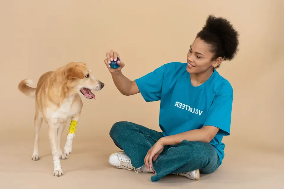 A veterinary technician gently guiding a dog's hind leg through a flexion movement