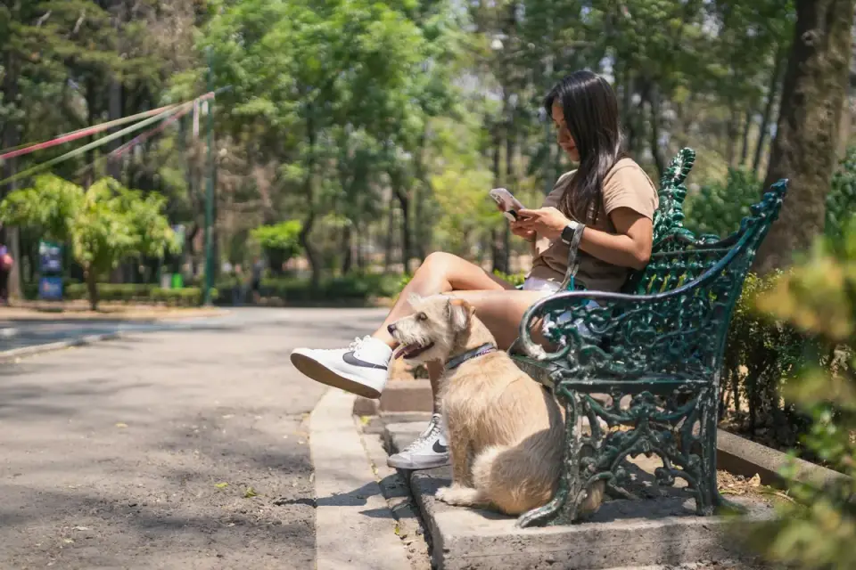 A woman reviewing a hotel booking on her phone while holding a dog leash