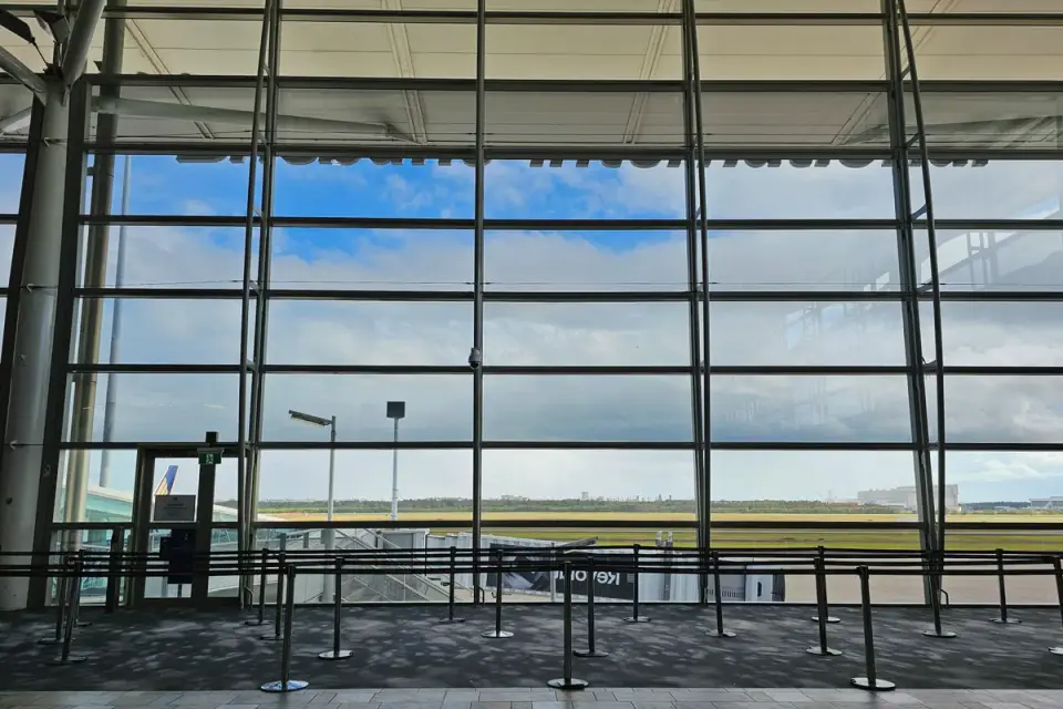 An artificial turf pet relief station inside an airport terminal near a gate