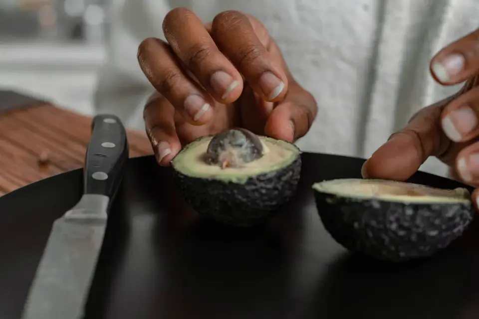 An avocado pit resting beside an empty dog bowl