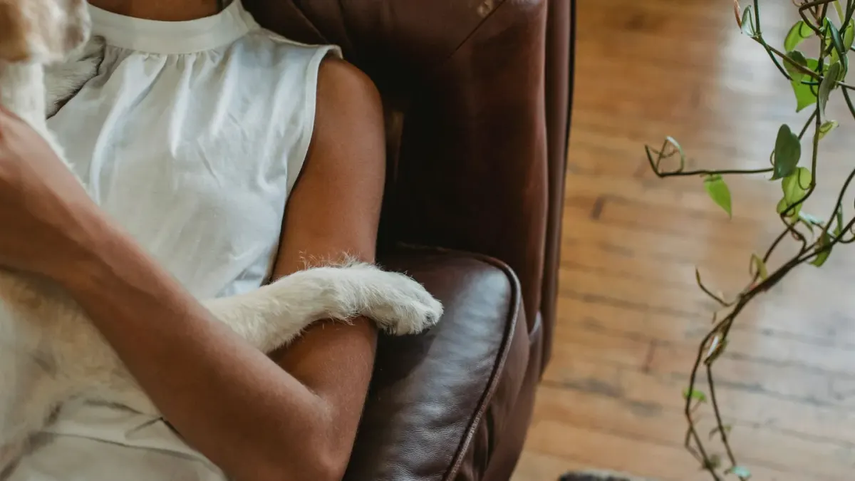 An older dog leaning its body weight against a seated owner's leg
