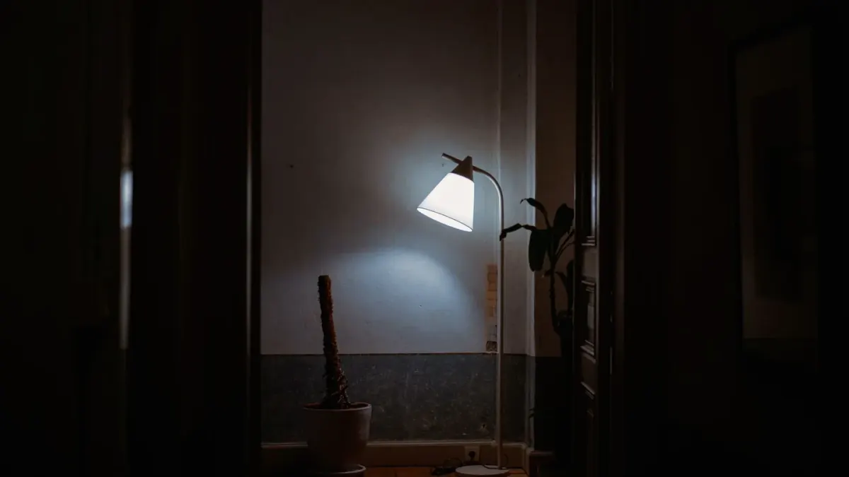An older dog standing alert in a dim living room at night