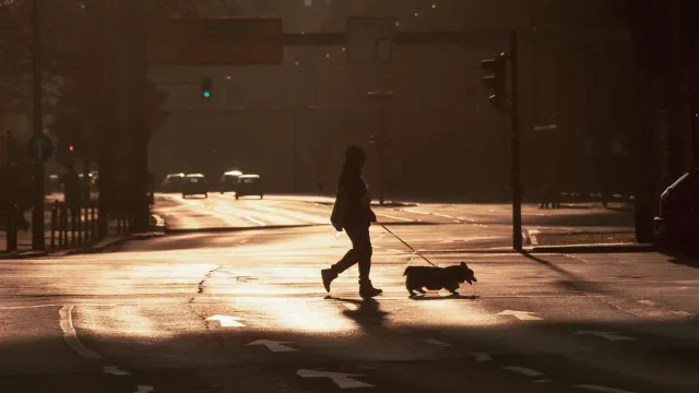 An owner walking a medium-sized dog on a quiet sidewalk in the early morning