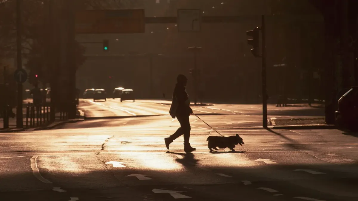 An owner walking a medium-sized dog on a quiet sidewalk in the early morning