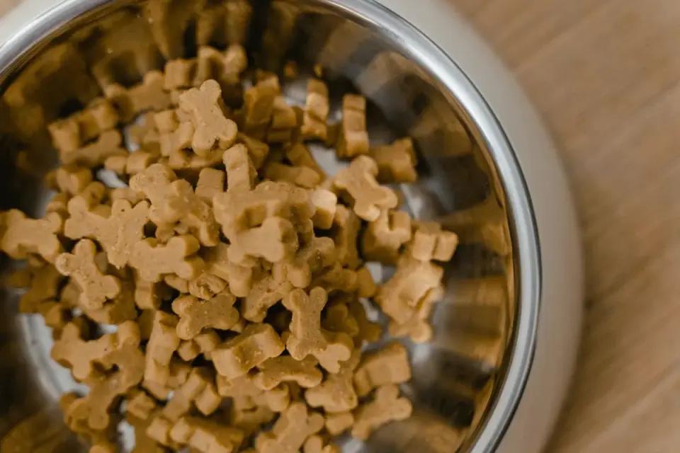 Bowl showing old and new dog kibble mixed together during a diet transition