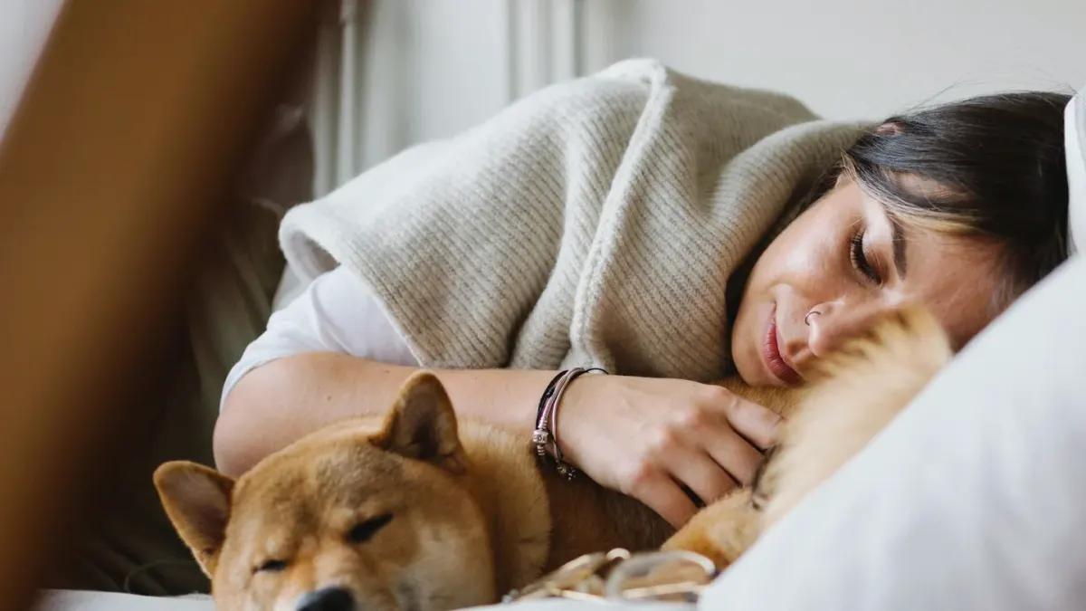 Calm dog resting at home