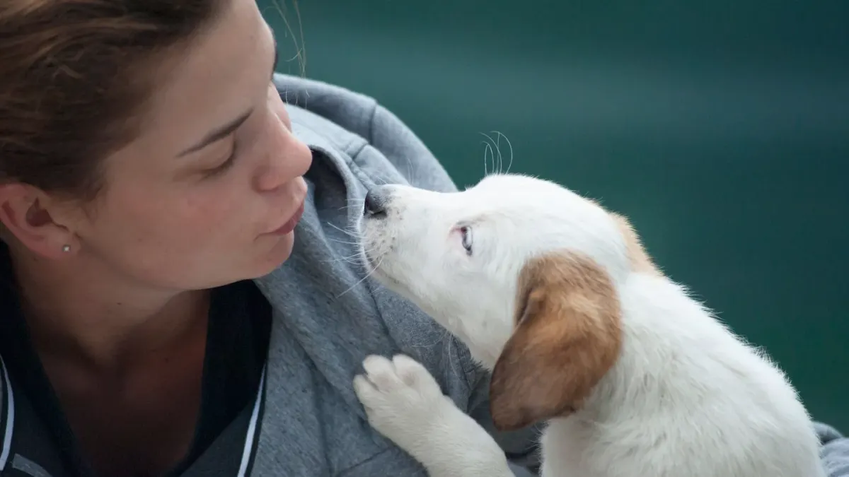 Dog and owner together
