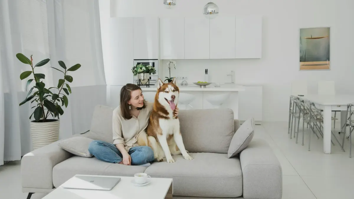 Dog at home near a kitchen