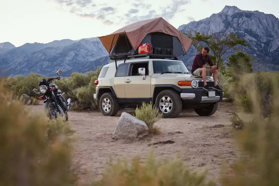 Dog camping with an owner