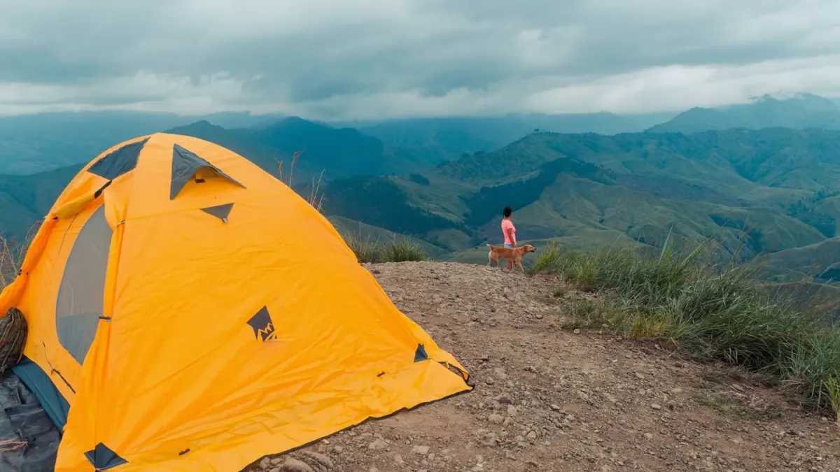 Dog camping with an owner