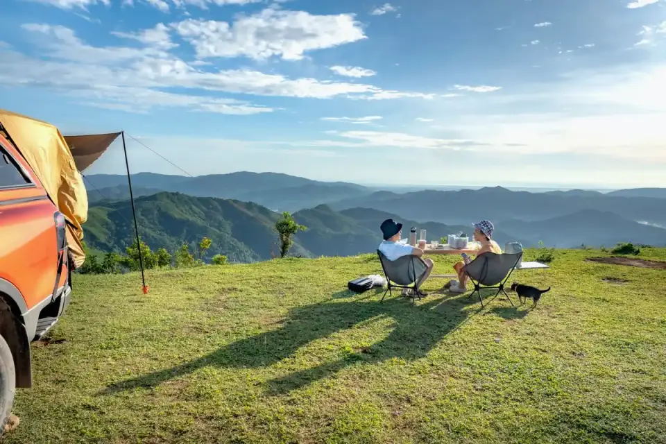 Dog camping with an owner