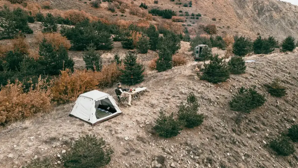 Dog camping with an owner