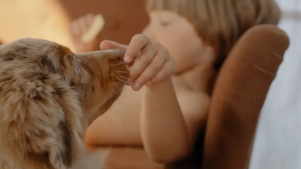 Dog eating from a bowl at home