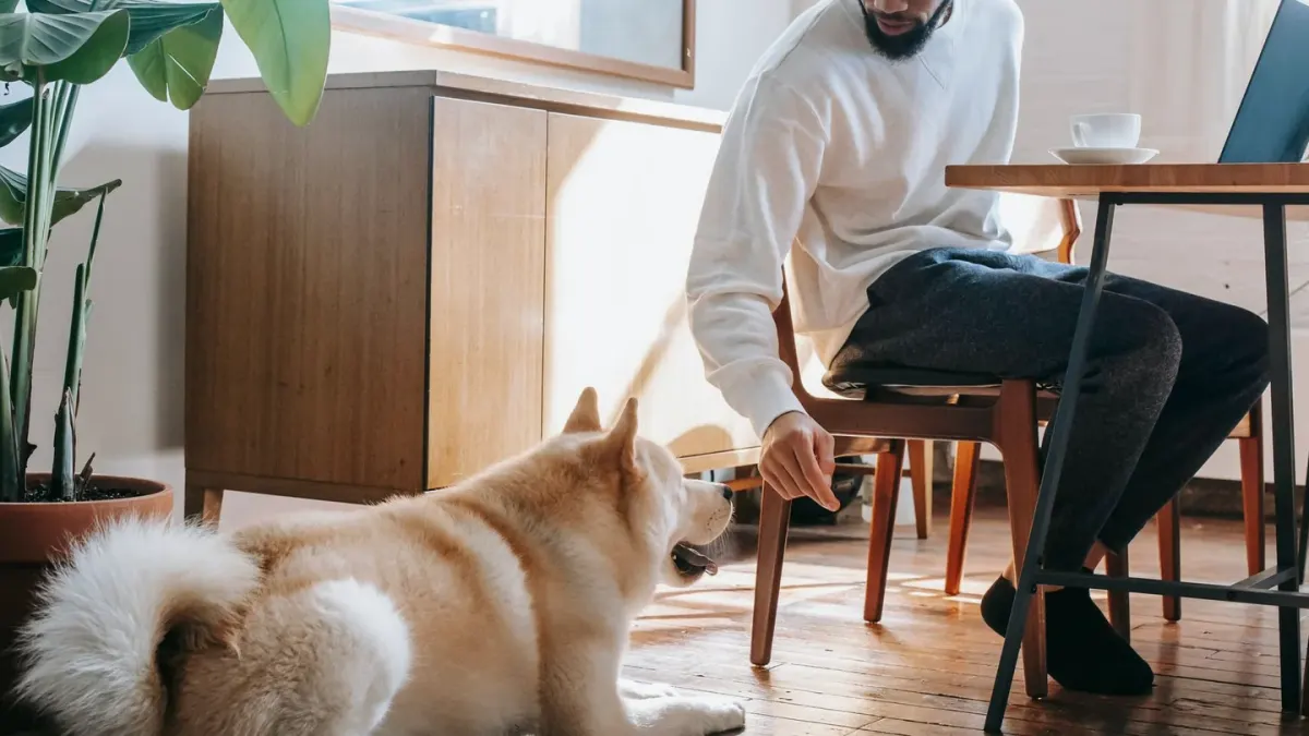 Dog eating from a bowl at home