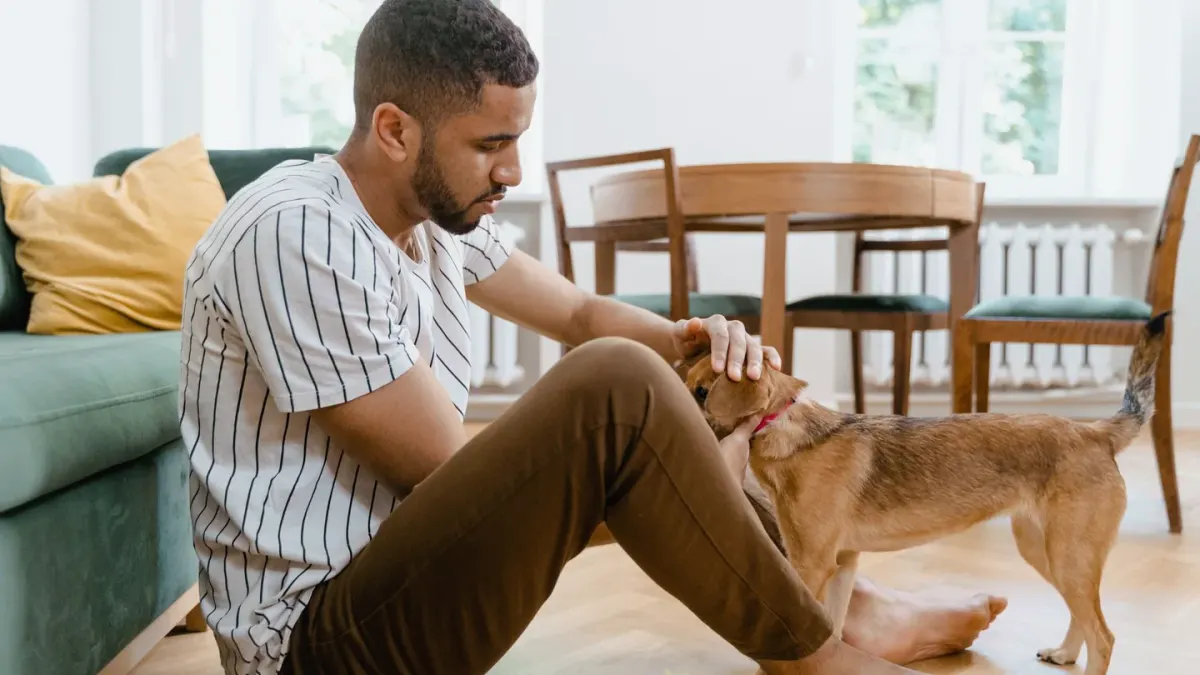 Dog eating from a bowl at home