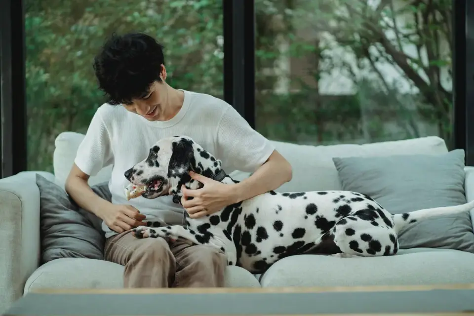Dog eating from a bowl at home