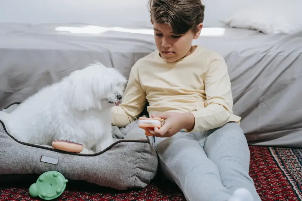Dog eating from a bowl at home