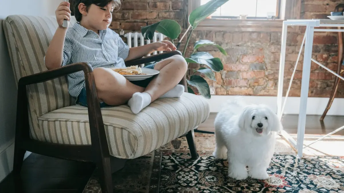 Dog eating from a bowl