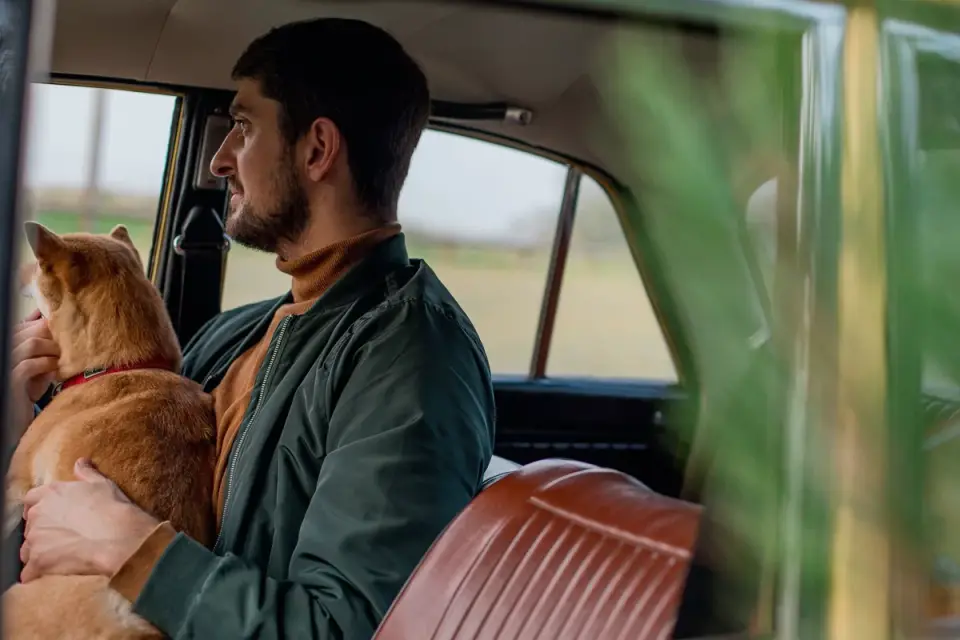 Dog in a car seat