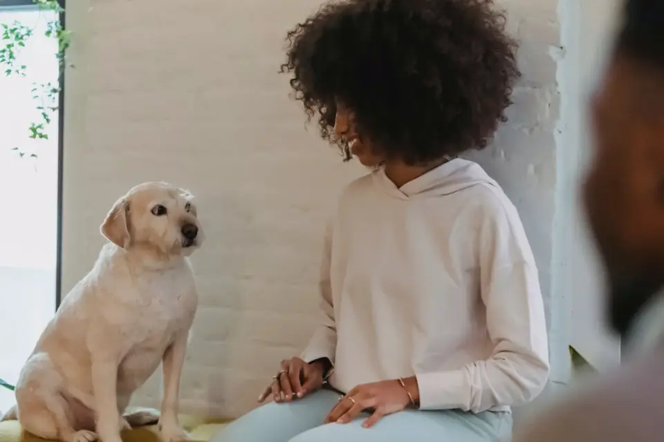 Dog in a kitchen with an owner