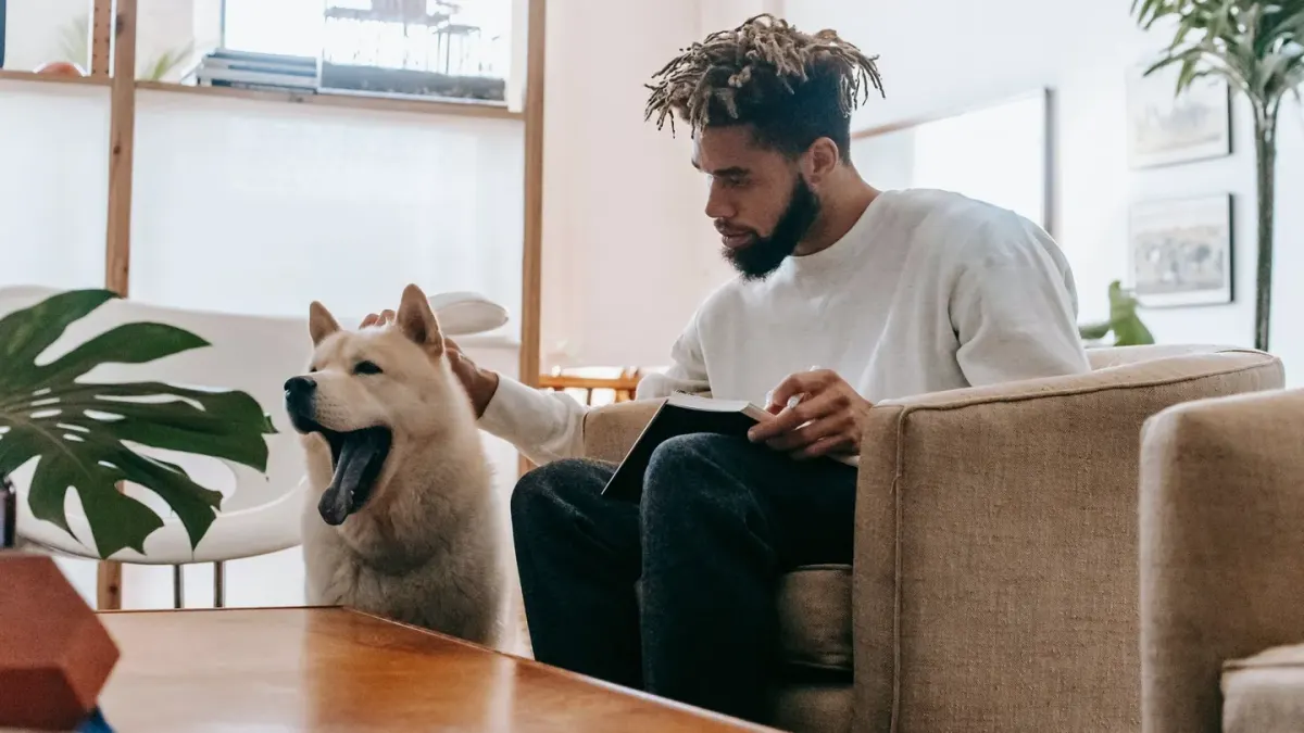 Dog in a kitchen with an owner