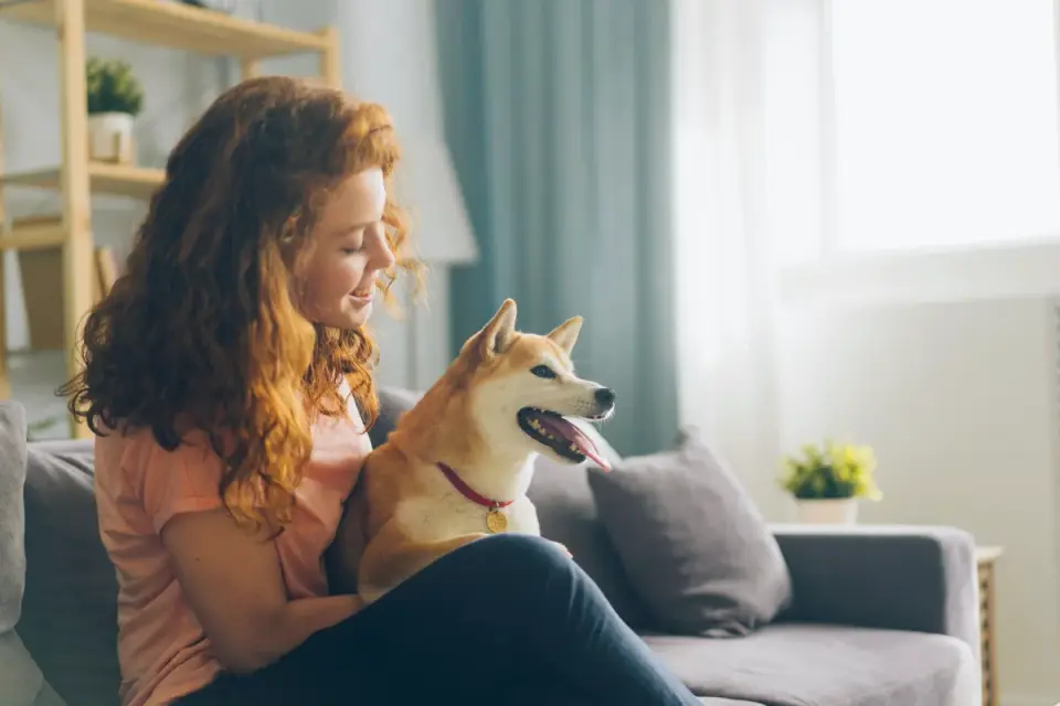Dog in a kitchen with an owner