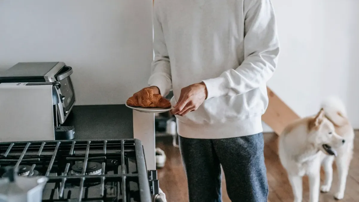 Dog in a kitchen with an owner