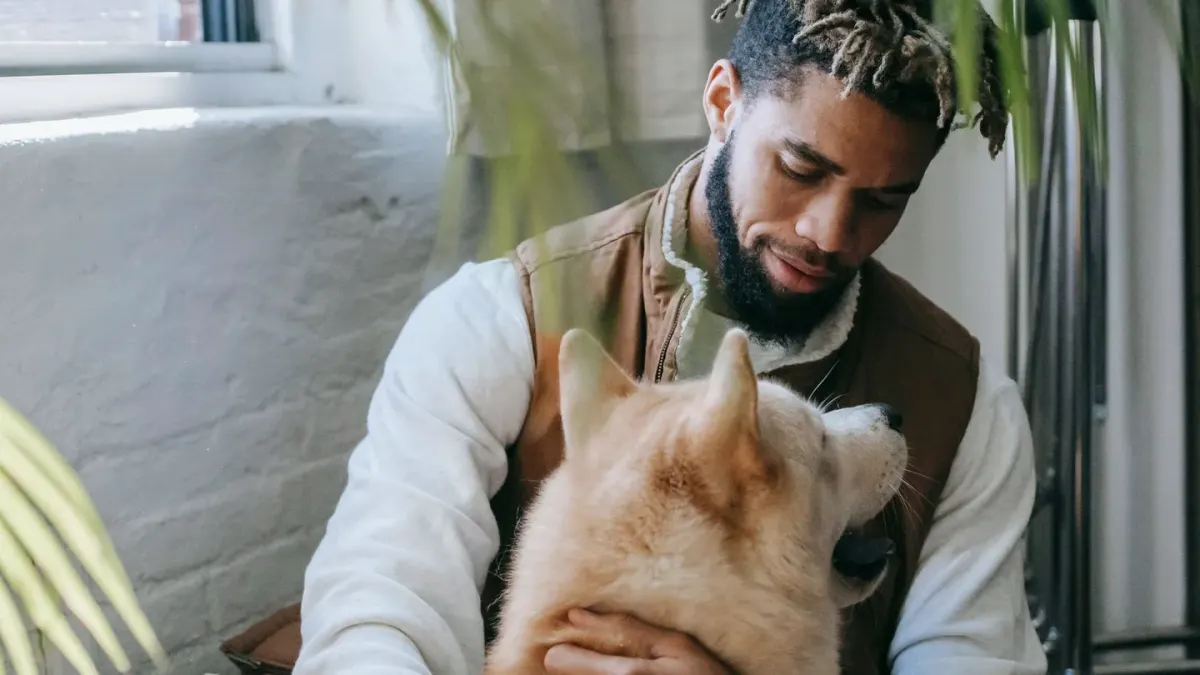 Dog in a kitchen with an owner