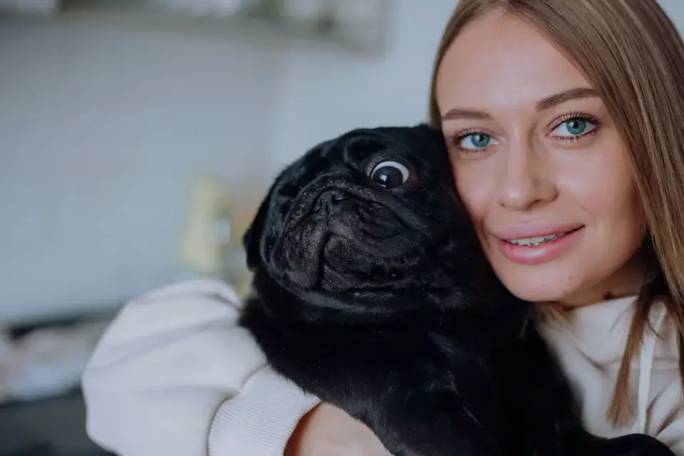 Dog in a kitchen with an owner