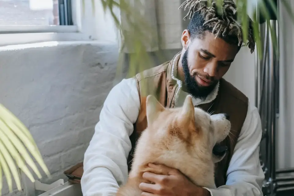 Dog in a kitchen with an owner