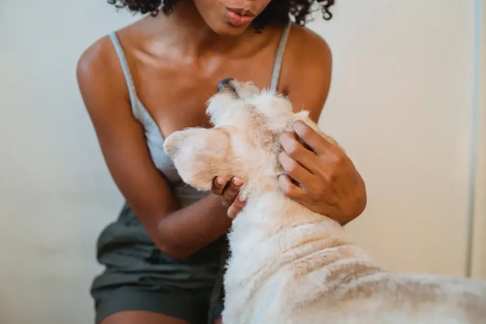 Dog in a kitchen with an owner