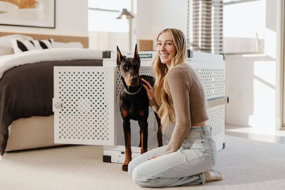 Dog in a travel crate