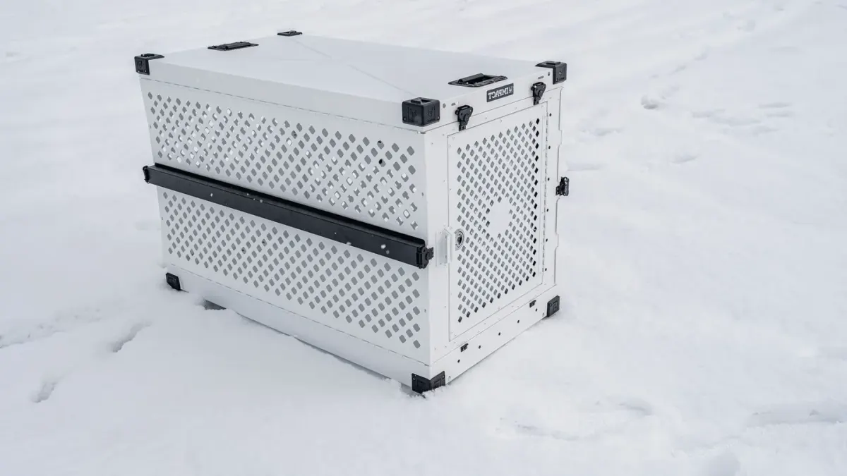 Dog in a travel crate